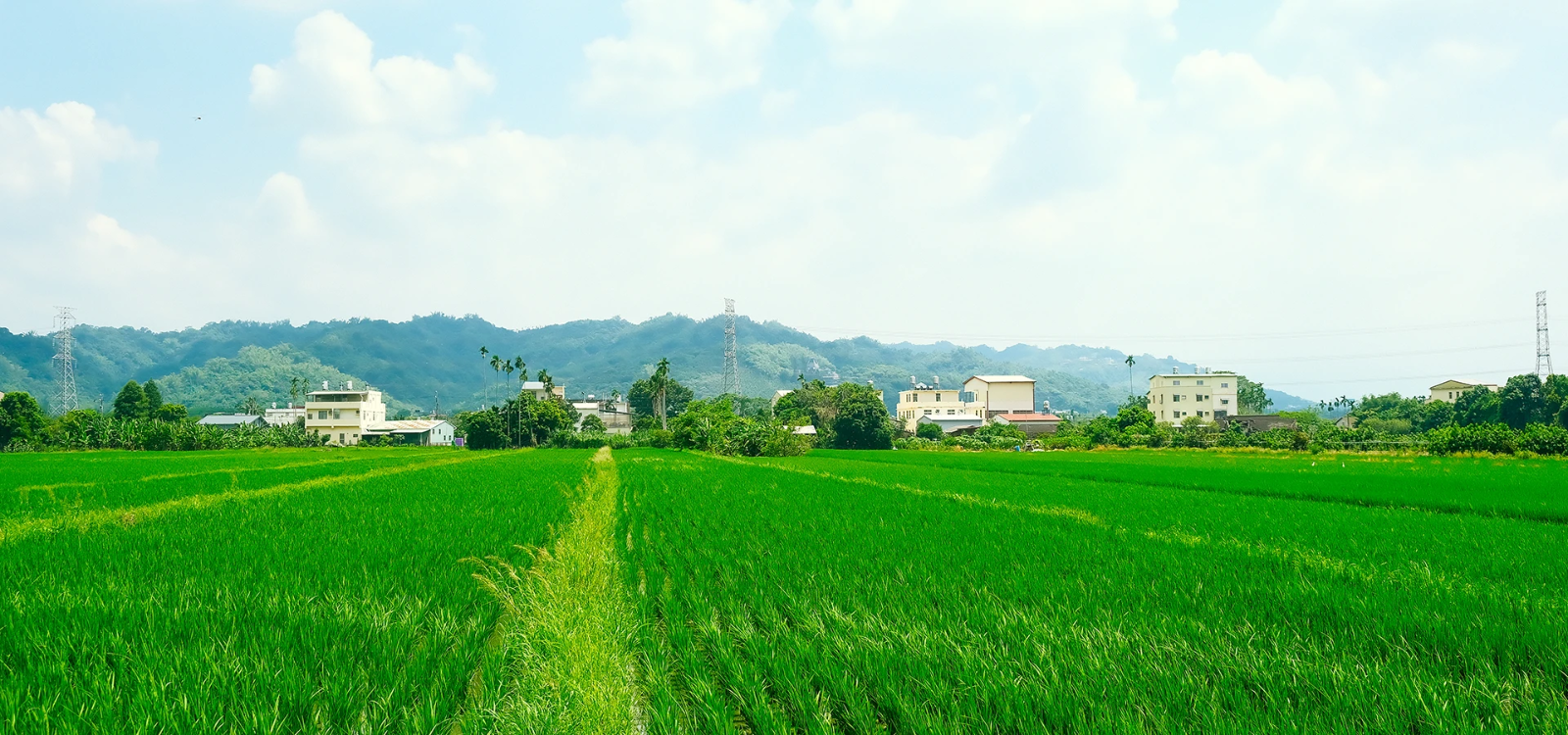 瑞典塗耐可建築塗料