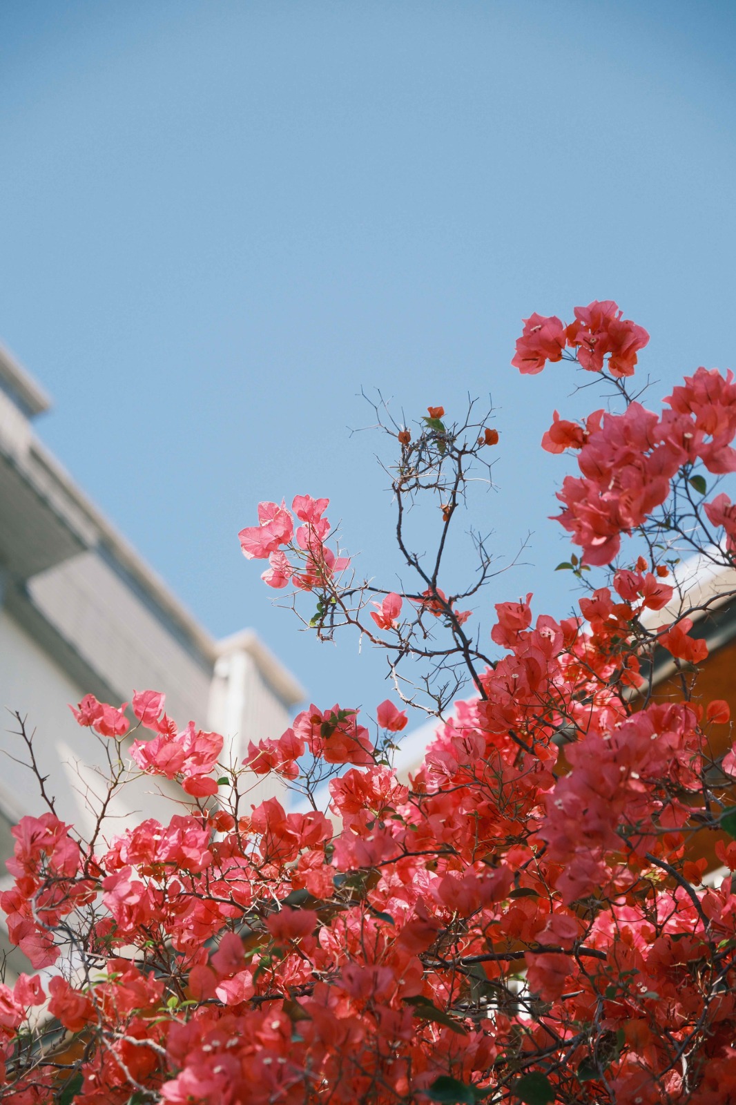 瑞典塗耐可建築塗料