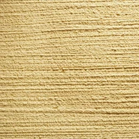 彈性質感藝術塗料