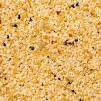 晶彩石外牆塗料