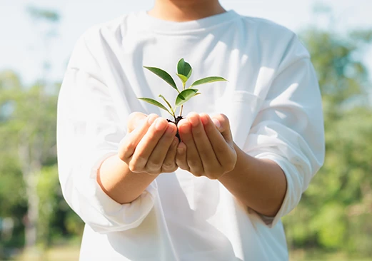 天然環保，無毒無污染塗料